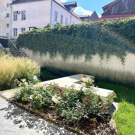 Apartment Luxury In The Heart Of Old Town *